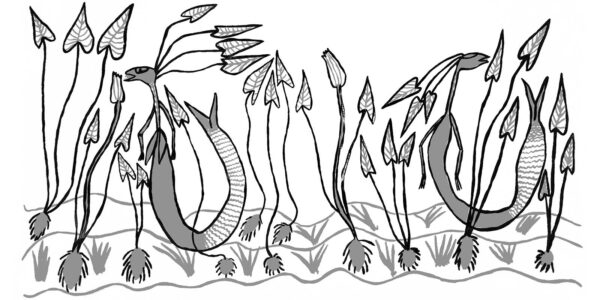 Deborah-Wurrkidj-Yawkyawk-and-Wayuk-2007