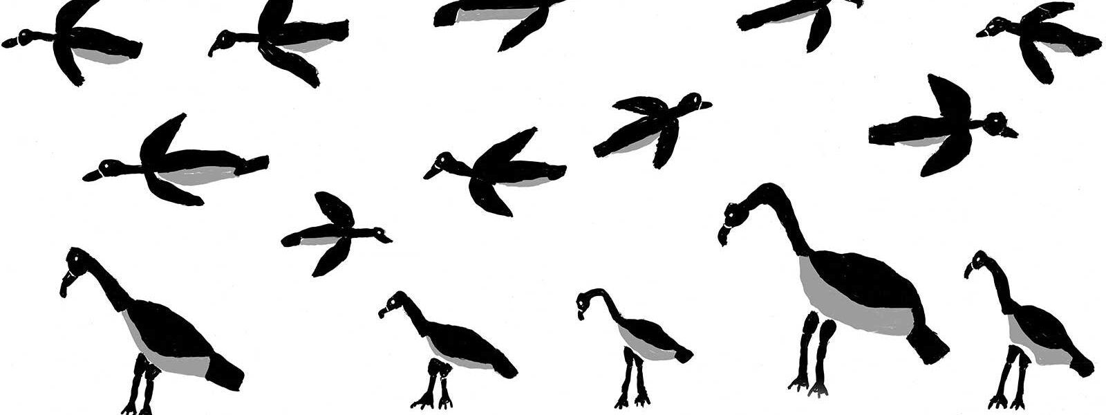 Dora-Diaguma-Flying-Magpie-Geese-2003