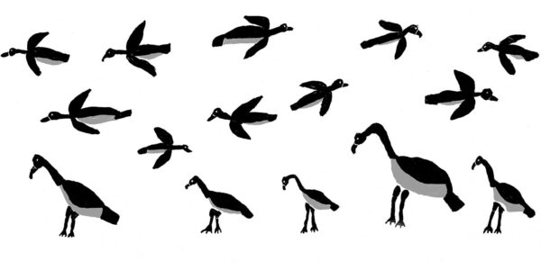 Dora-Diaguma-Flying-Magpie-Geese-2003