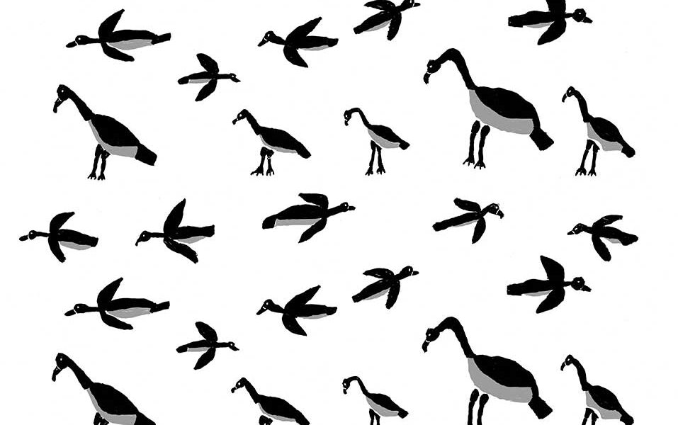 Dora-Diaguma-Flying-Magpie-Geese-2003-Repeat