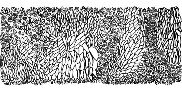 Elizabeth-Kandabuma-Mudripples-2003-e1489279568260