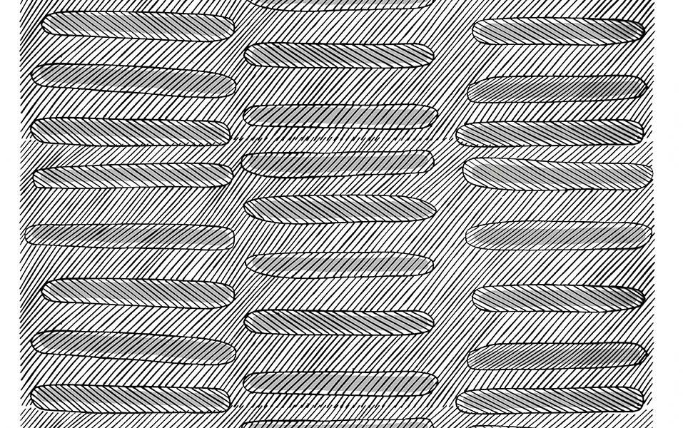 Jennifer-Wurrkidj-Waterhole-at-Dilebang-2012-Repeat