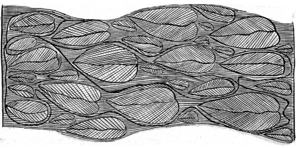 Susan-Marawarr-Leaves-2012