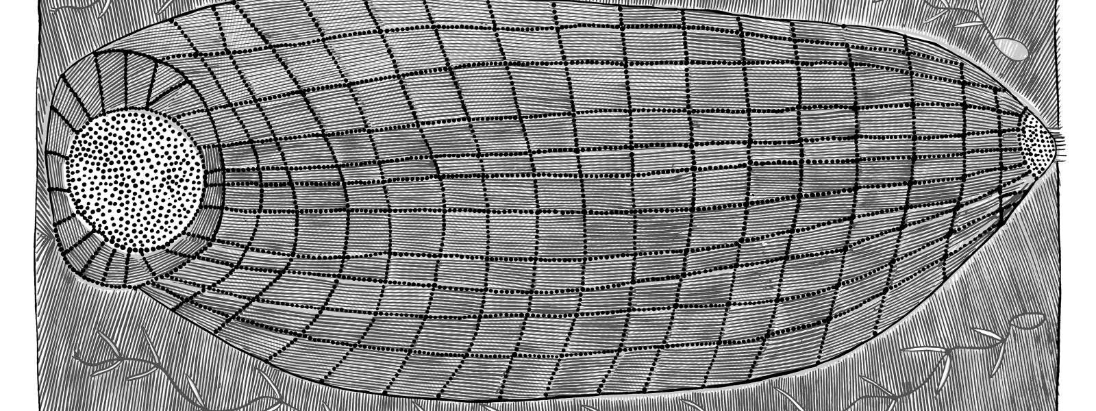 Susan-Marawarr_-Mandjabu-Fishtrap_Flat_2017