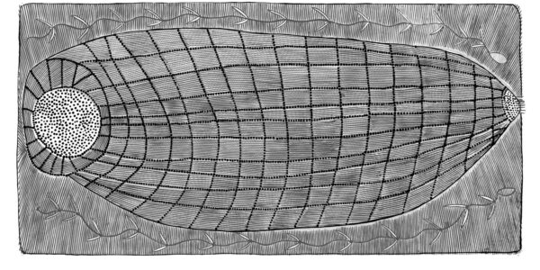 Susan-Marawarr_-Mandjabu-Fishtrap_Flat_2017