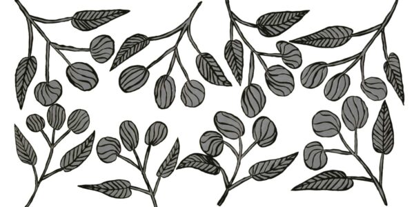 Deborah-Wurrkidj_Black-Plum_2007-6