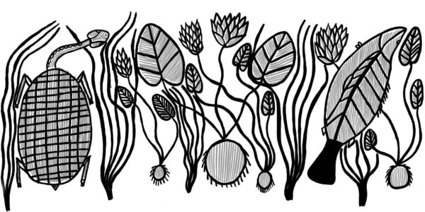 Jennifer-Wurrkidj_Barramundi-and-Turtle_2006