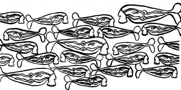 BWC-S3-2007-Genevieve-Smith_Dugong_Cleaning-copy