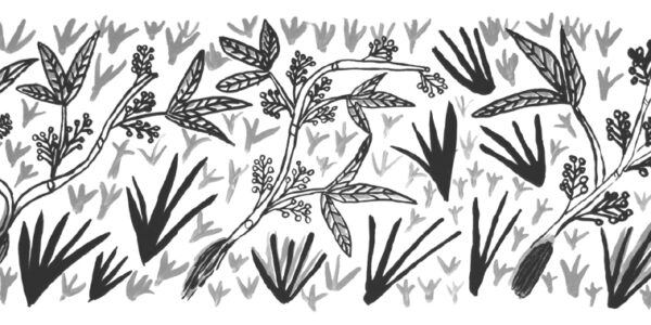 Elizabeth-Kandabuma_Man_ngarre-Native-Grasses_2007_Repeat-1