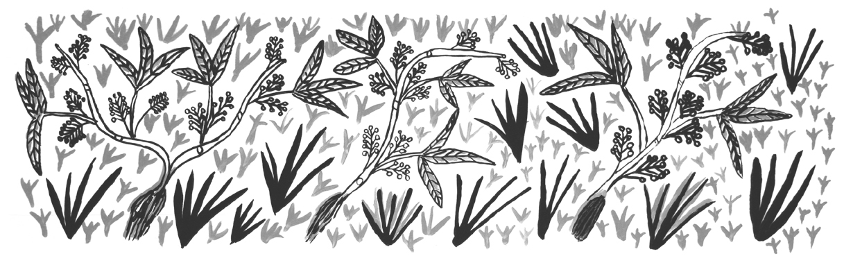 Elizabeth-Kandabuma_Man_ngarre-Native-Grasses_2007_Repeat-1