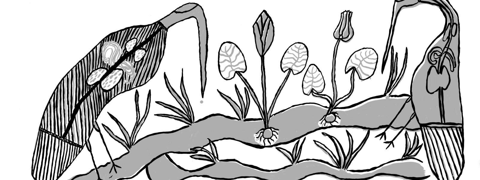 Deborah-Wurrkidj_Jabiru_2006