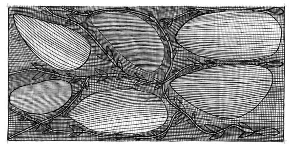 Susan-Marrawar-Rocks-and-Yams_web-copy