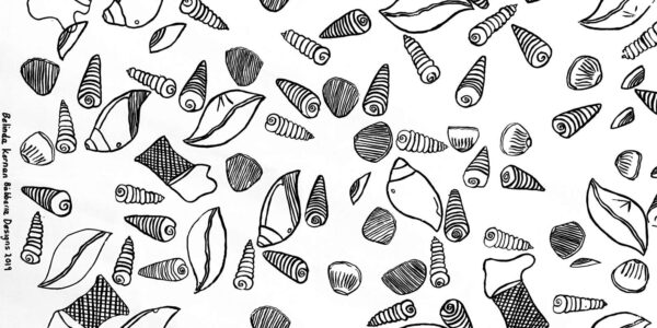 BELINDA-KERNAN-SEASHEELLS-BANNER-1