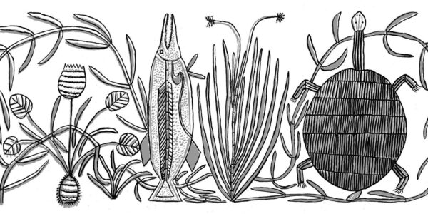 Margot-Gurawiliwili_Swordfish-and-long-neck-turtle_2006