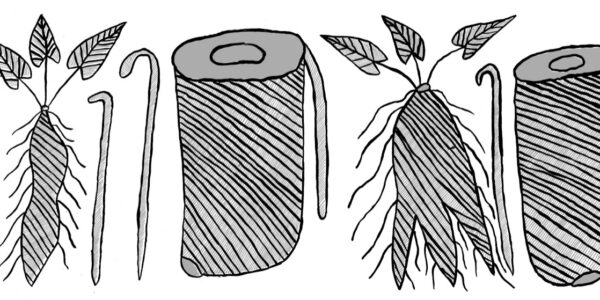 Deborah-wurrkidj_Karrbarda_2006