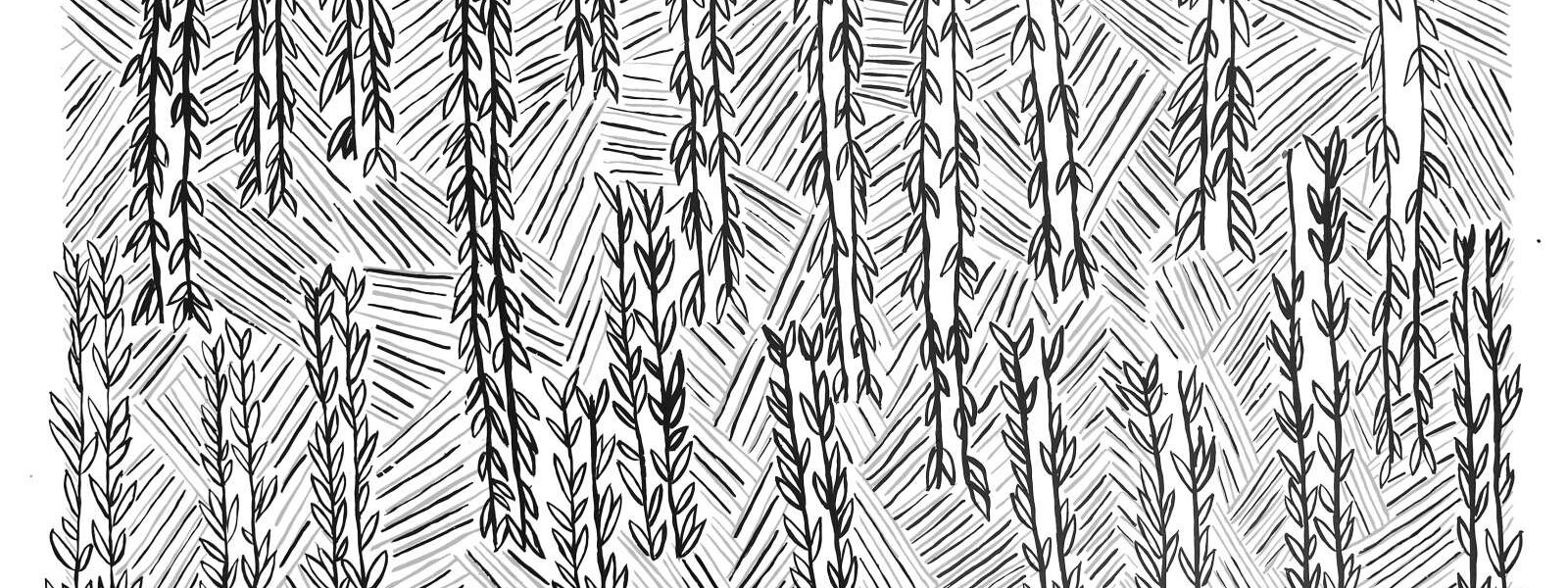 BWC_BELINDA-KERNAN_BAMBOO-SHOOT_2022-copy