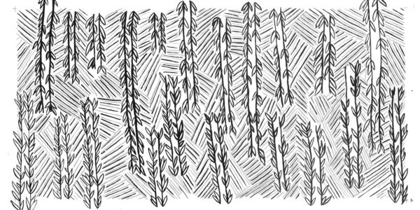 BWC_BELINDA-KERNAN_BAMBOO-SHOOT_2022-copy