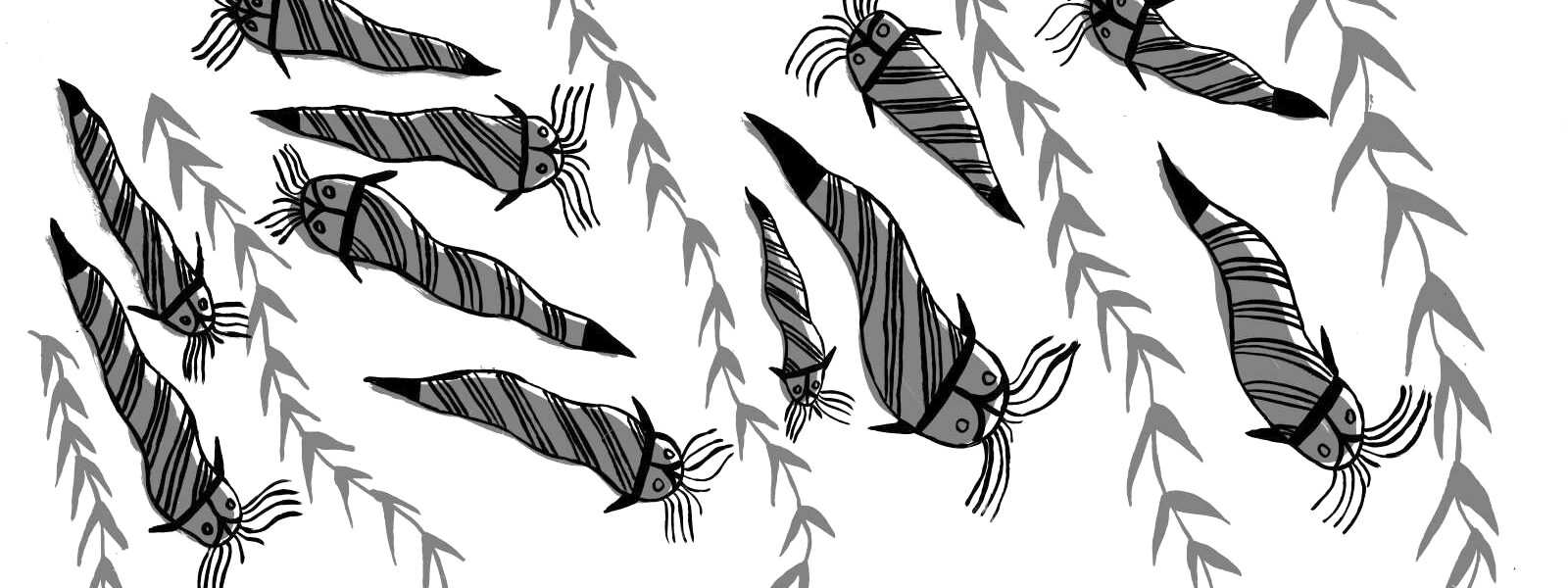 BWC_TRUDY-NICKY_CATFISH-LAYERS-copy-1