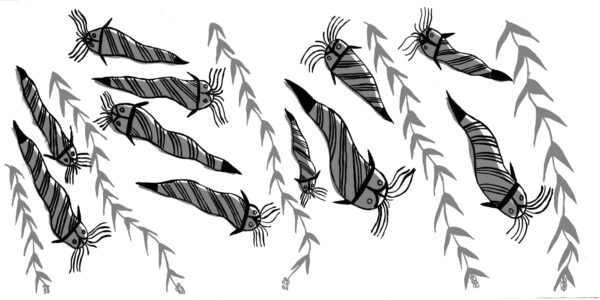 BWC_TRUDY-NICKY_CATFISH-LAYERS-copy-1