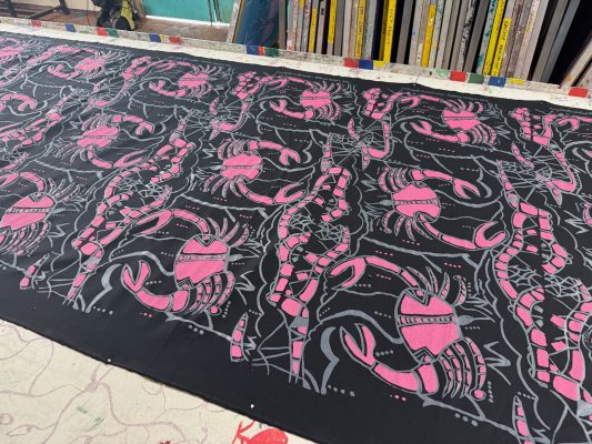 Barnkabarra (Mud Crabs)