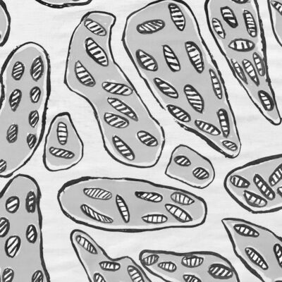 Helen Lanyinwanga (dec)