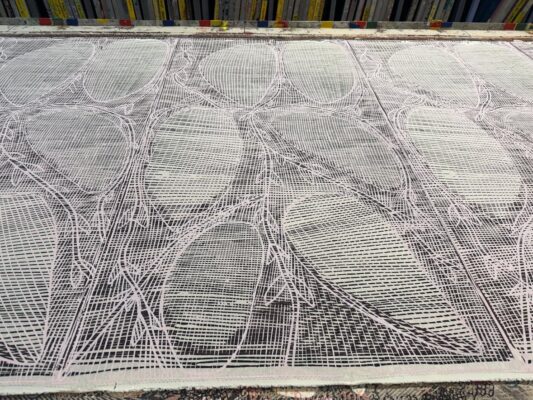 Kunwardde dja Karrbarda (Rocks and Yam Vine)