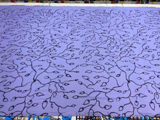 Mankotbe (Bush Onion)