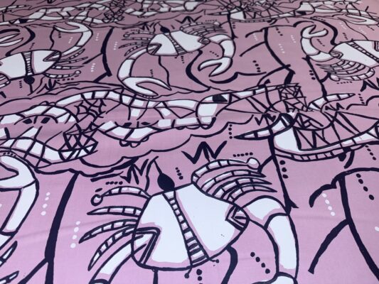 Barnkabarra (Mud Crabs)