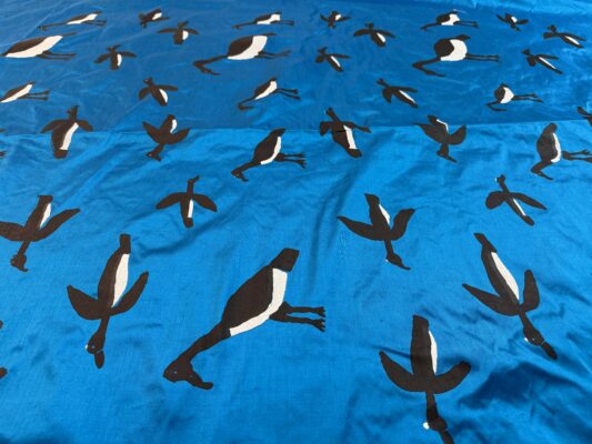 Murnubbarr Karrolkan (Flying Magpie Geese)