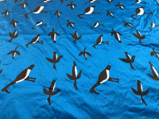 Murnubbarr Karrolkan (Flying Magpie Geese)