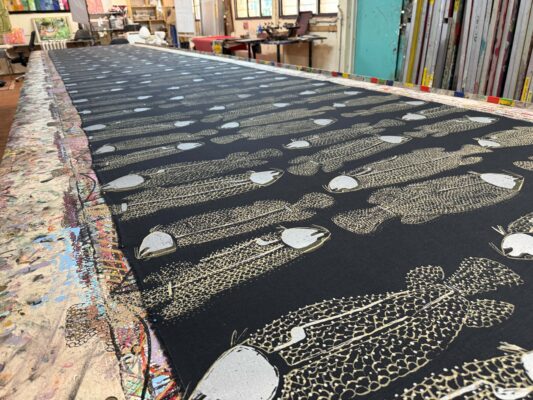 Ngaldadmurrng (Saratoga)