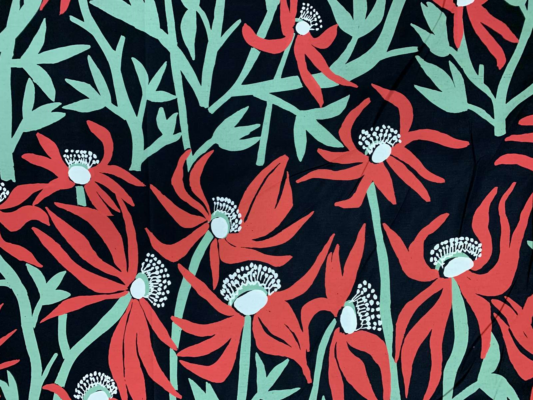 PUBLISHER – MANWAK (MUMEKA BLOOMS) BY DEBORAH WURRKIDJ