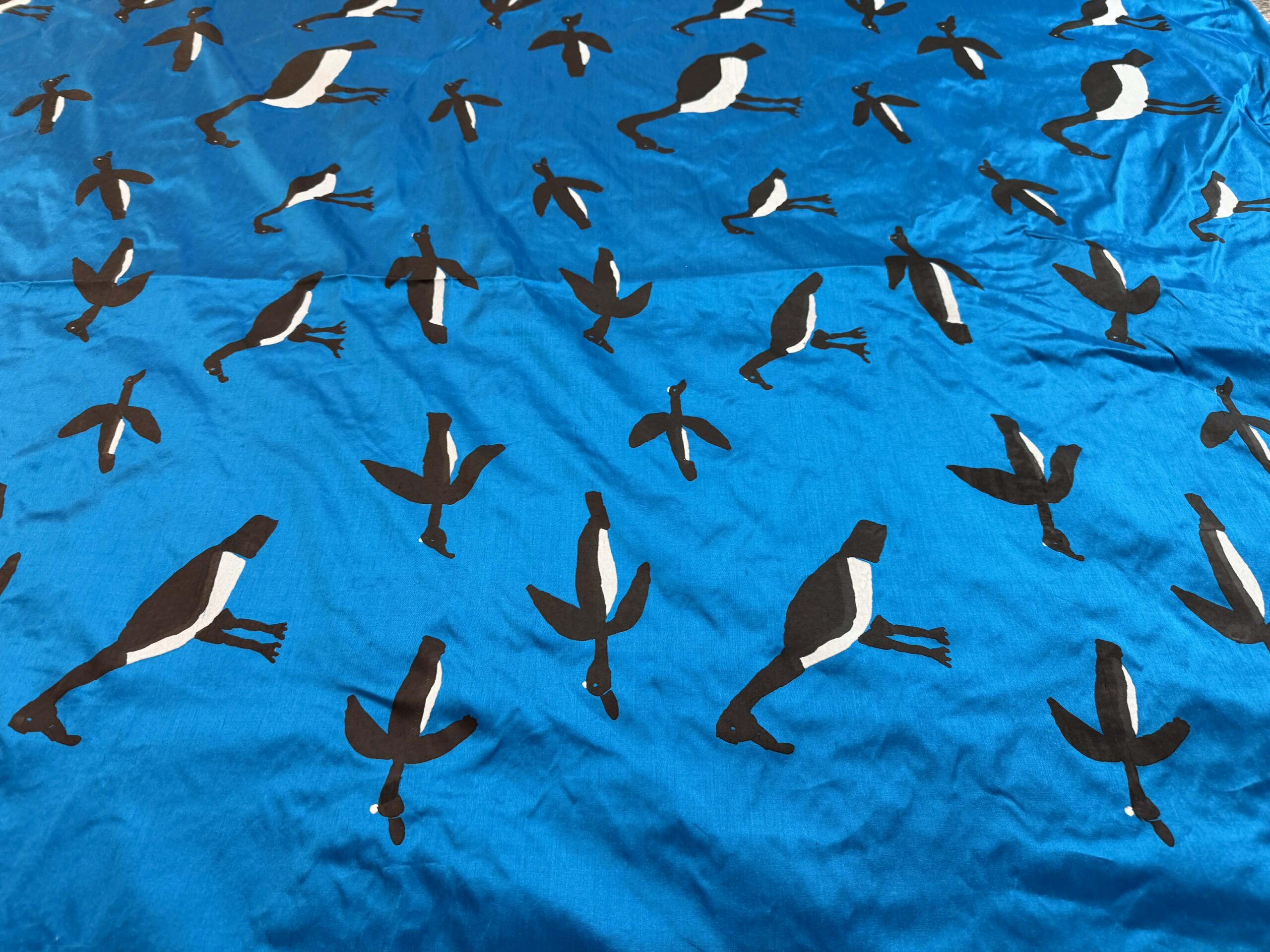 Murnubbarr Karrolkan (Flying Magpie Geese)