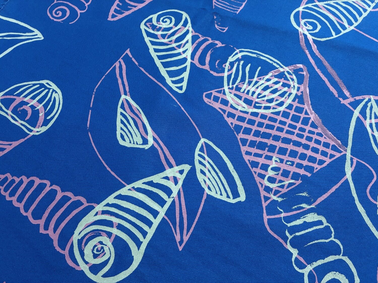 Sea Shells and Dilly Bags
