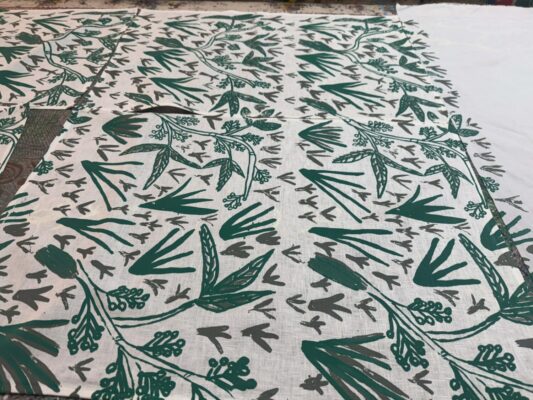 Man-ngarre (Native Grasses)
