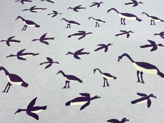 Murnubbarr Karrolkan (Flying Magpie Geese)