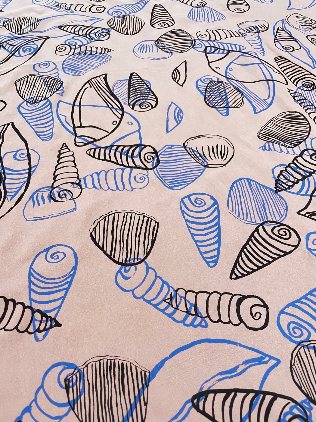 Sea Shells and Dilly Bags by Belinda Kernan