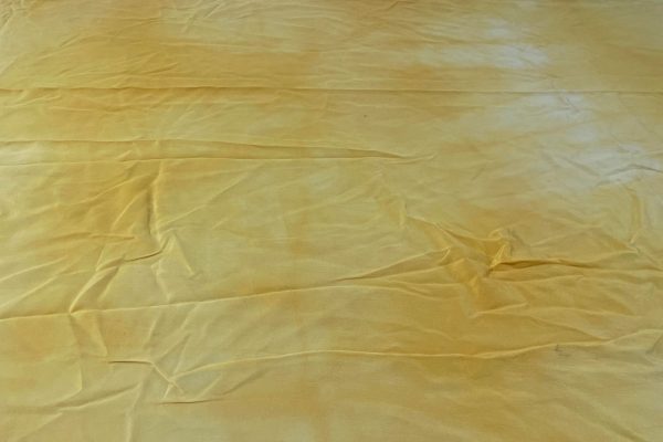 man-kurdudjumuk - yellow colour silk by Jocelyn Koyole